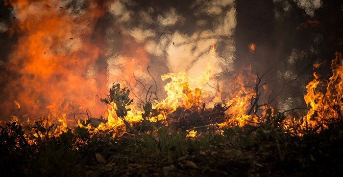 Preventivne mere zaštite radi sprečavanja nastanka požara i elementarnih nepogoda u opštini Topola !!!