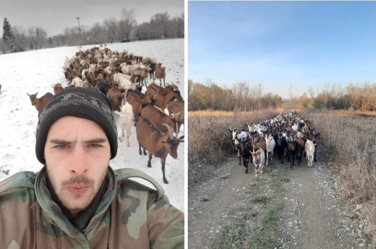 Ivan Jeremić – Jedini mladi poljoprivrednik u Pocerini i Mačvi koji ima trista grla koza !!!