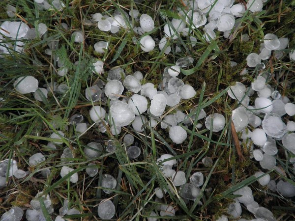 Nevreme praćeno gradom i vetrom pogodilo sela Gornju Trnavu i Ovsište nadomak Topole