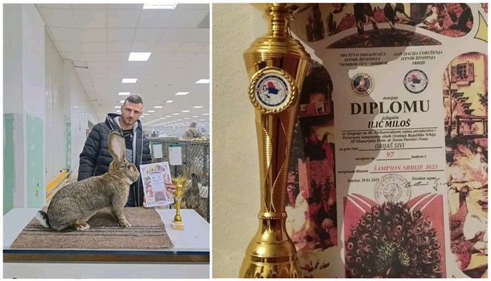 Održan državni Šampionat Srbije sitnih životinja-Miloš iz Topole šampion države