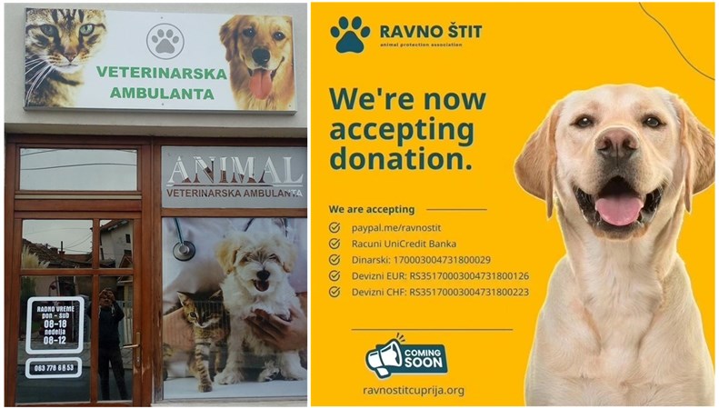 Udruženje za zaštitu životinja „RAVNO ŠTIT“ i „ANIMAL“ veterinarska ambulanta iz Ćuprije uvek su tu da pomognu nemoćnim i napuštenim životinjama