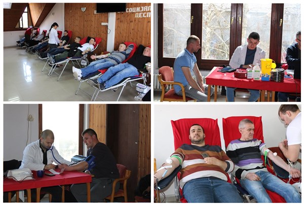 U Despotovcu oboren rekord u prikupljanju bezbednih jedinica krvi