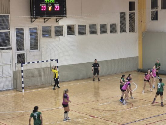 Rk Radnički Svilajnac-Žrk Loznica grad 2 40:23 (20:15)