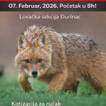Hajka na predatore u Đurincu kod Svilajnca