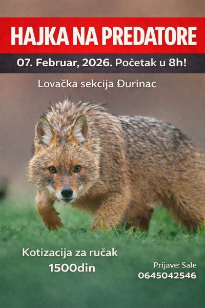 Hajka na predatore u Đurincu kod Svilajnca