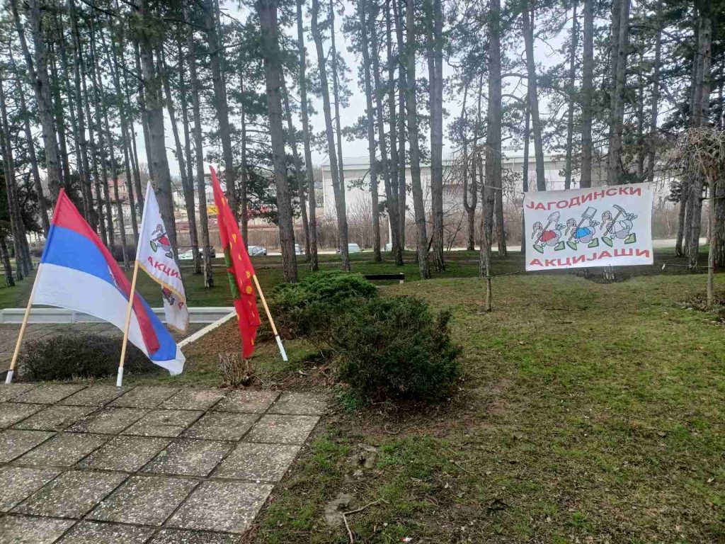 Udruženje “Jagodinski akcijaši i volonteri” izveli radnu akciju povodom Dana državnosti