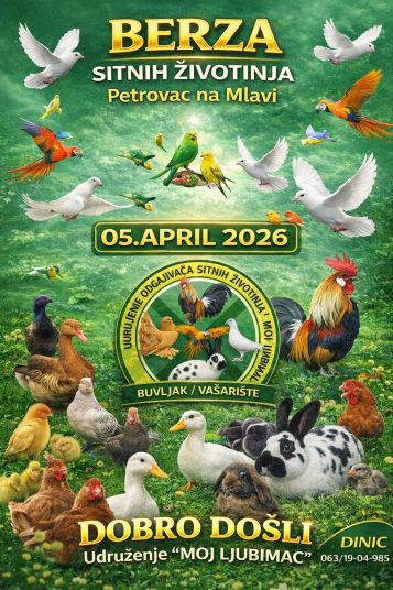 Berza sitnih životinja u Petrovcu na Mlavi