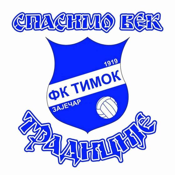 Ko se vraća u Zone?Timok 1919 Zaječar ili Trstenik Ppt